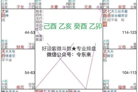 天同坐命|天同星在巳亥守命宫，外表温顺平易近人，内心刚强固执